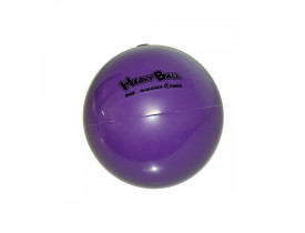 Heavy Ball 2 kg Bola com Peso para Exercícios BP02 Carci