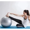 Bola para Exercícios Gynastic Ball Carci 65cm Cinza 