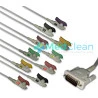 Cabo de ECG TEB APEX1000 - Cabo Paciente 10 vias - Compatível