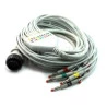 Cabo de ECG Cardioline Delta 1 plus, Delta 3 plus 10 vias Compatível